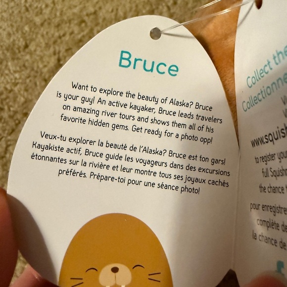 Bruce the Walrus Squishmallow 6.5” - Picture 6 of 8